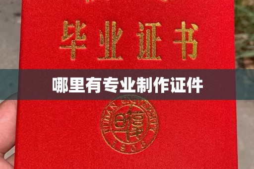 赣州哪里有专业制作证件
